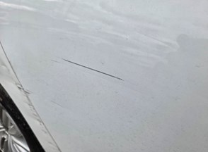 /Vozila/CITROEN C4/20251007_144634 (Medium).jpg