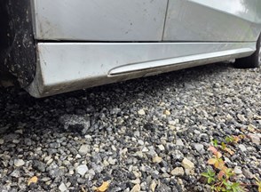 /Vozila/MERCEDES C KARAMBOL/20250923_084208.jpg